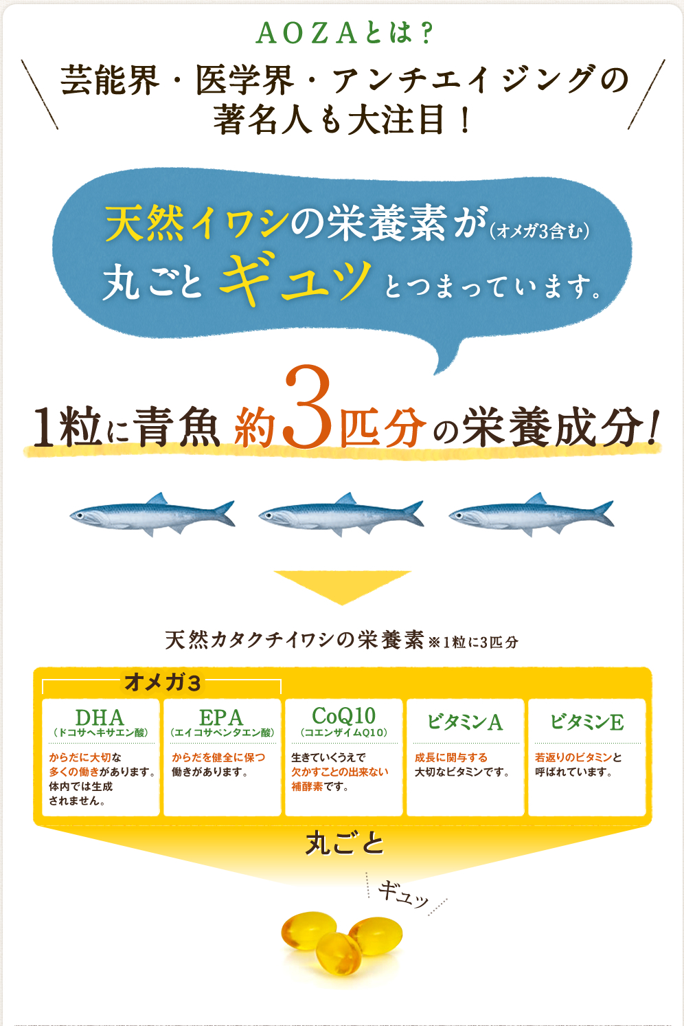 AOZAとは？