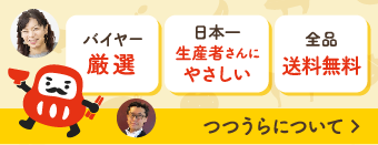 つつうらについて