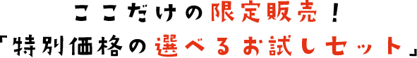 選べるお試しセット