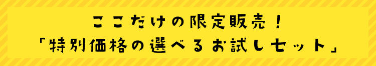 選べるお試しセット