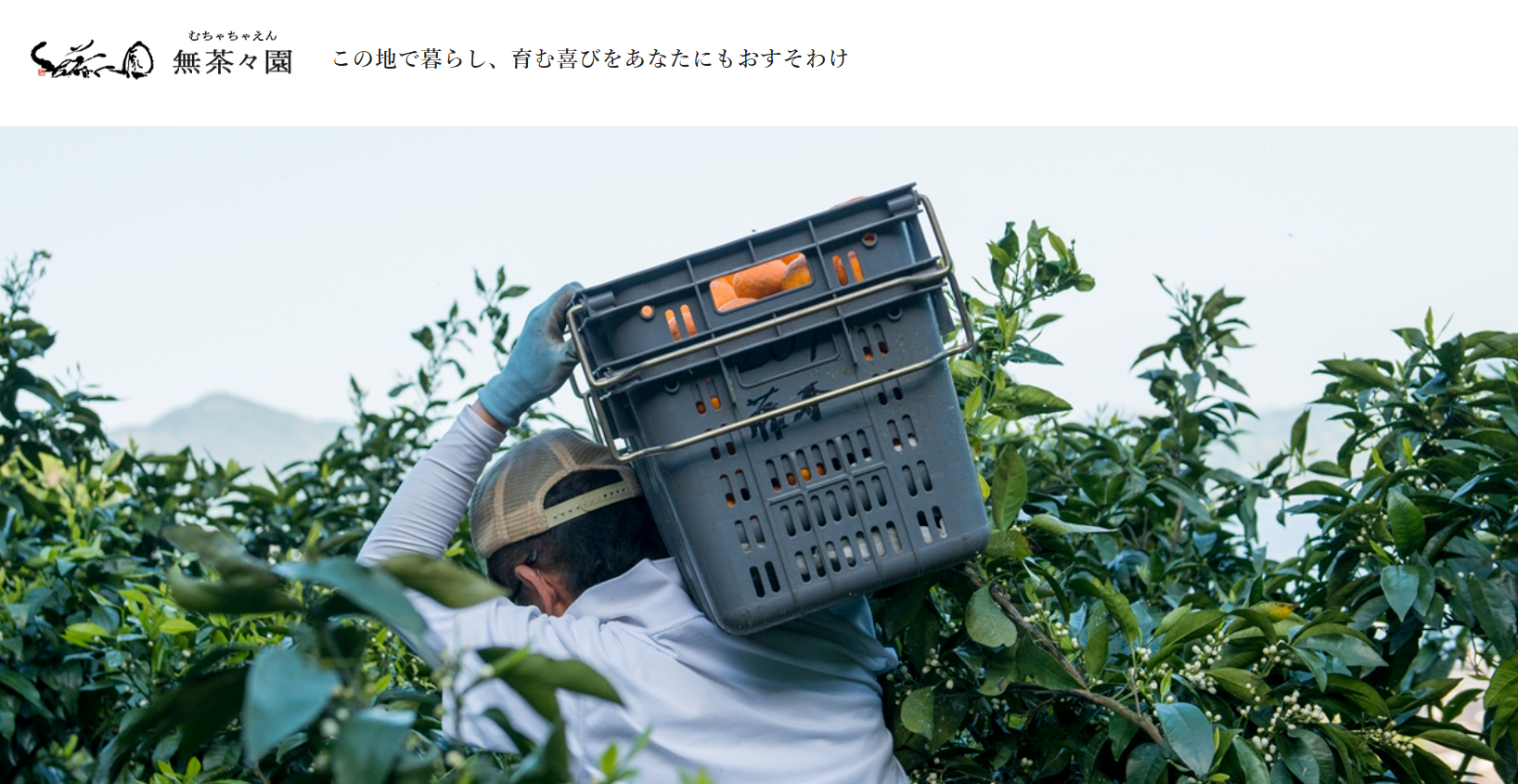 無茶々園