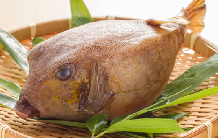 ⽇本で初めて通販を実現!伝統の味「かっとっぽ」