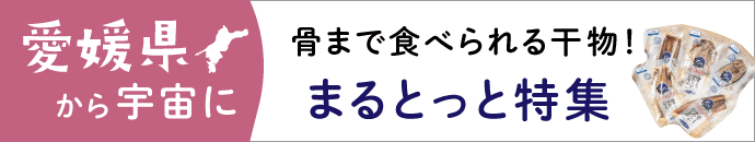 干物「まるとっと」